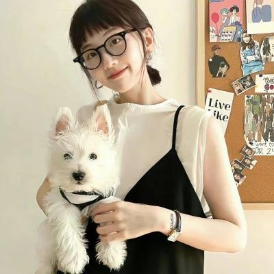 第四期计划